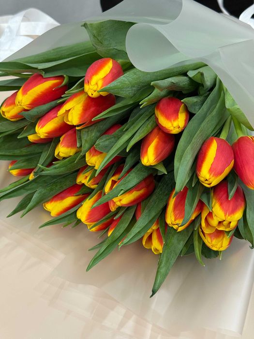 Премиальные местные тюльпаны оптом