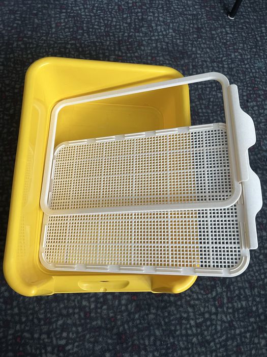 Лоток   для  собак