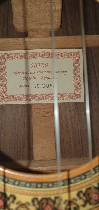 Chitara clasica REGUN Hora - handpicked PLUS Hard-soft case si stativ