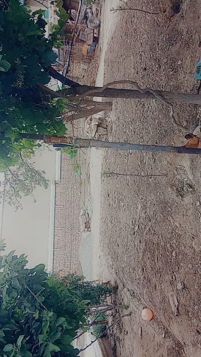 Termez shaxar partizanda yer sotiladi 4soʻtix