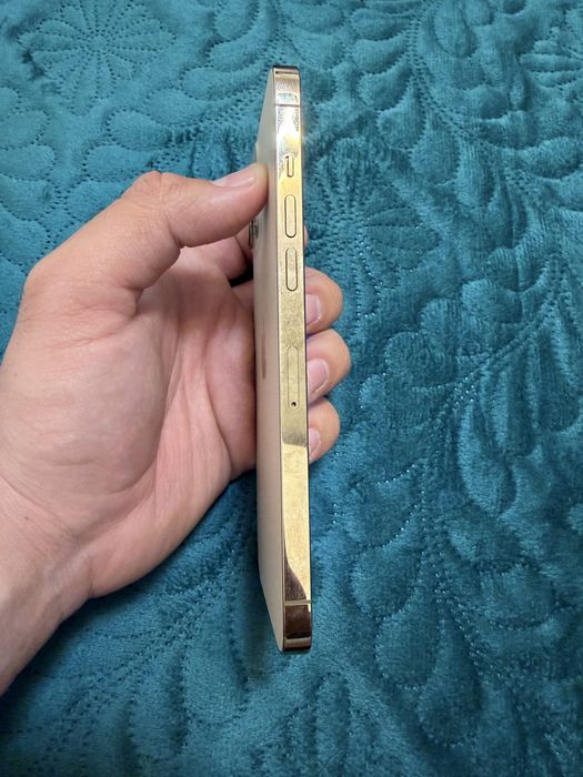 Iphone 12 pro max 256 gb 100%