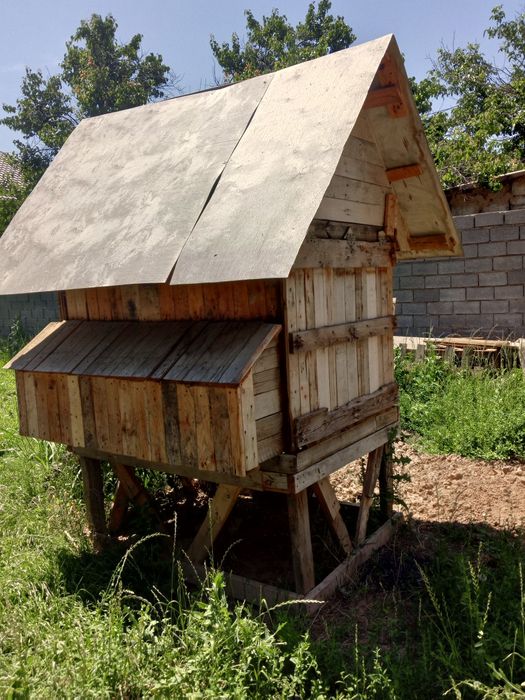 Курятник на 10 курочек