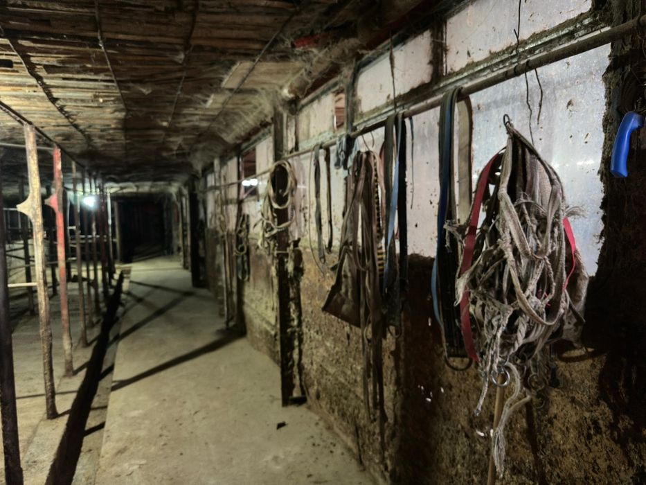 Жедел түрде қора сатылады!