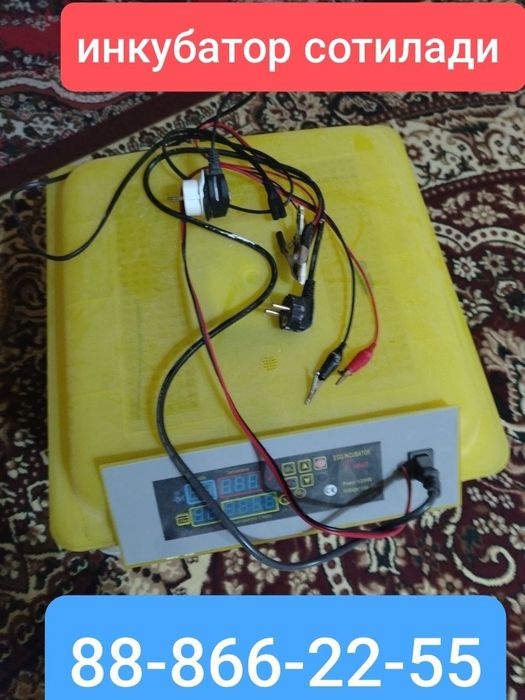 Inkubator yangi.