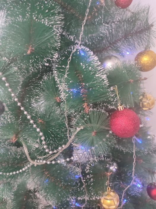 Ёлка продается.  1.50см