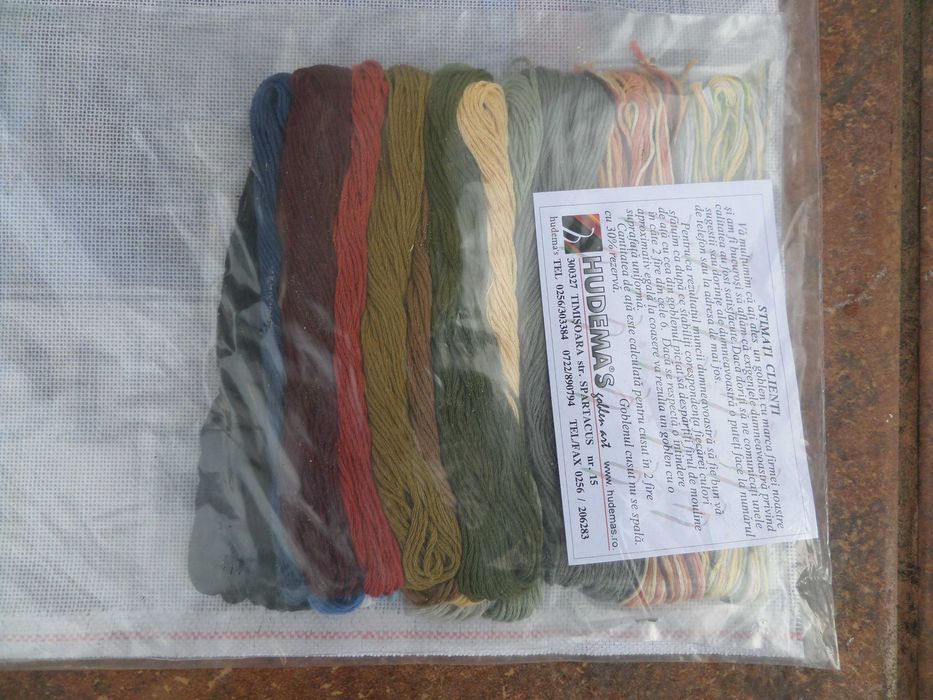 Goblen de cusut cu fire incluse Maria,Petru eliberat de inger,Fecioara 25 pe 35cm