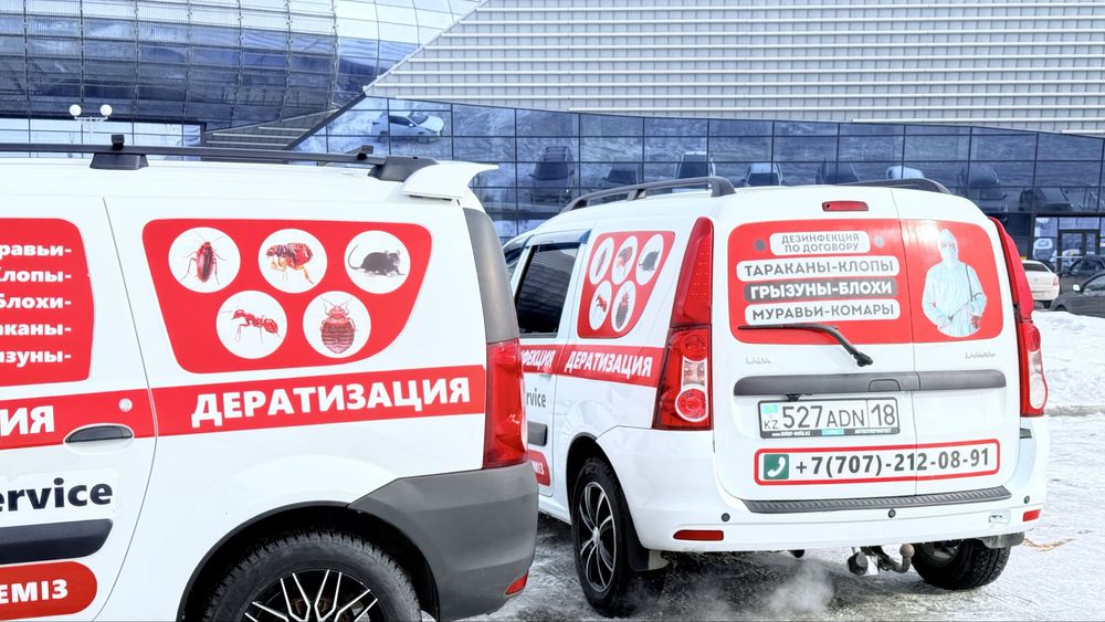 Қоймадағы кеміргіштерді жою