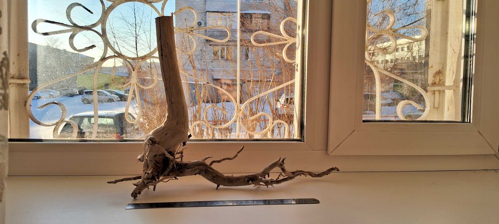 Коряга в аквариум