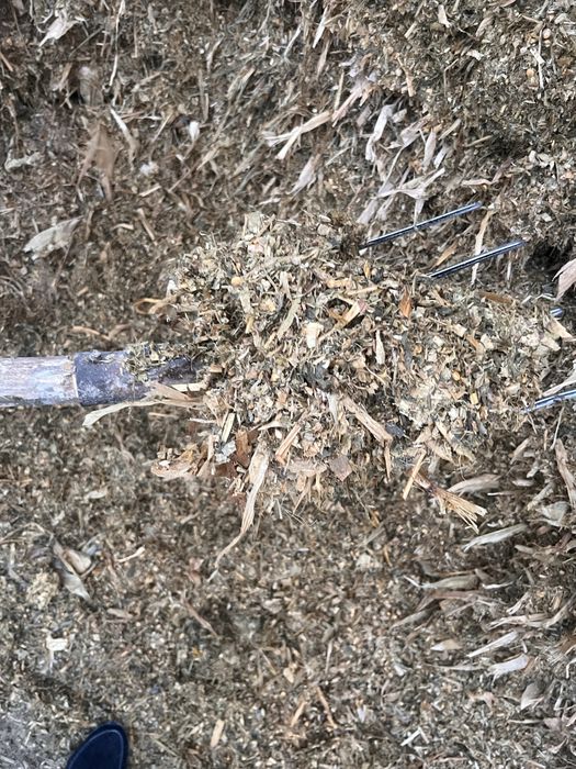 Силос сотилади. Арзон булади