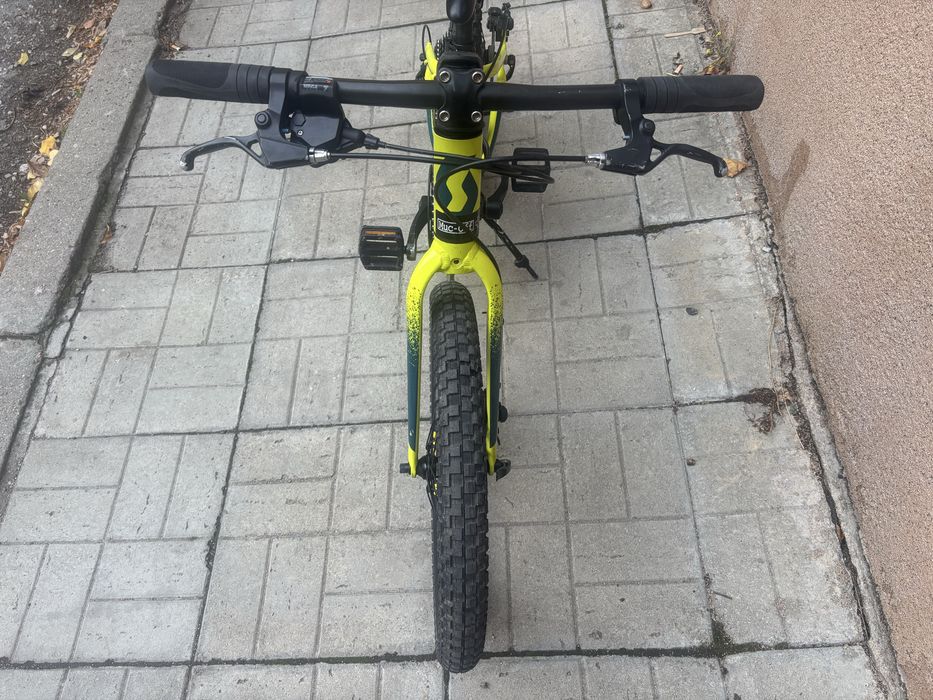 Scott Roxter 20”