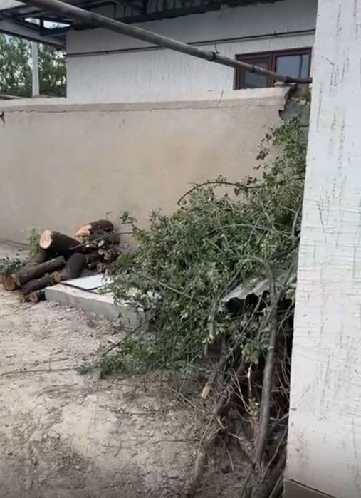 Дрова даром бесплатно