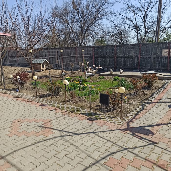 Casă de vânzare sat Oancea