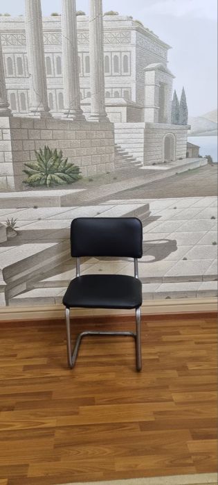 Силвия  хром и никел силва Silva бесплатная доставка