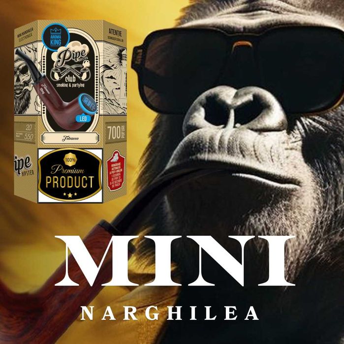 Mini Narghilea Aroma KING PIPE Hipster!