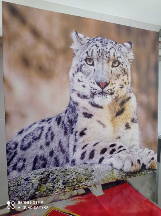 Картины холст 60х60