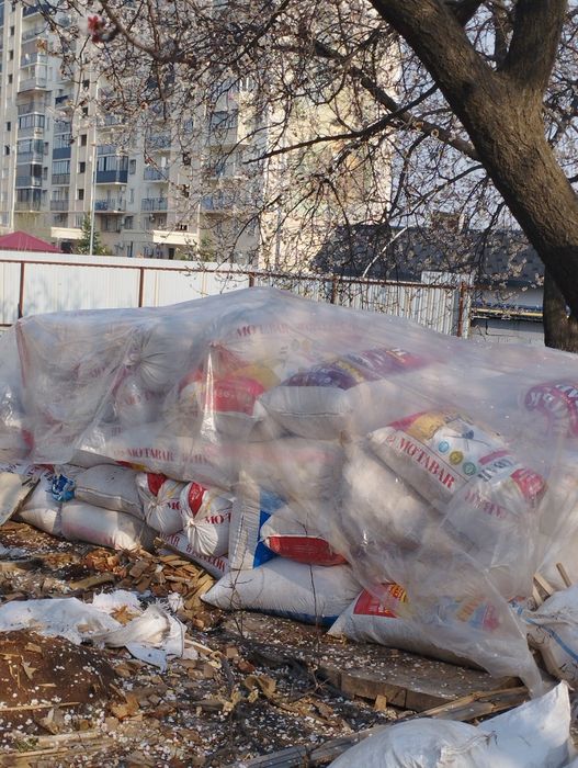 Апилка бор Ташкент шахрида