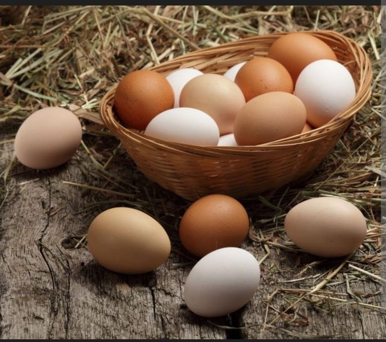 Ouă de găină și ouă de rață