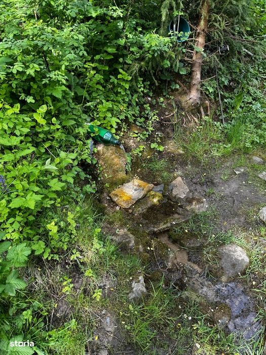 Terende vânzare  – 4.300 mp Brateș-Tarcău,Neamț-Potențial turistic