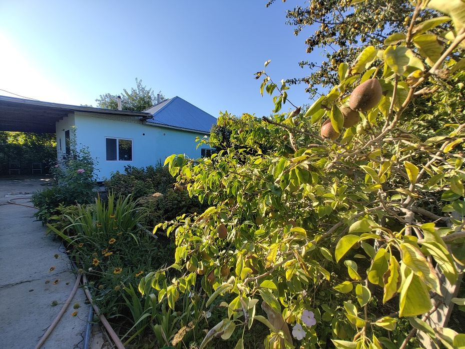 Продам Дачу "Сабалак"