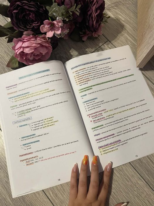 Sociologie Bacalaureat