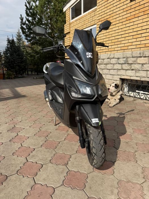 Скутер Samurai Самурай 2023 года