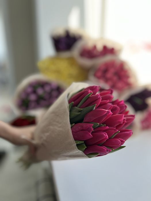 Тюльпаны в Актобе