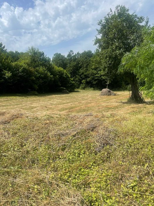 Teren extravilan de vanzare -faneata