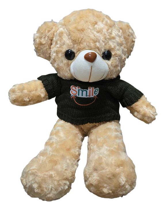 Скрита камера в плюшена играчка Мече WIFI Full HD камера за наблюдение