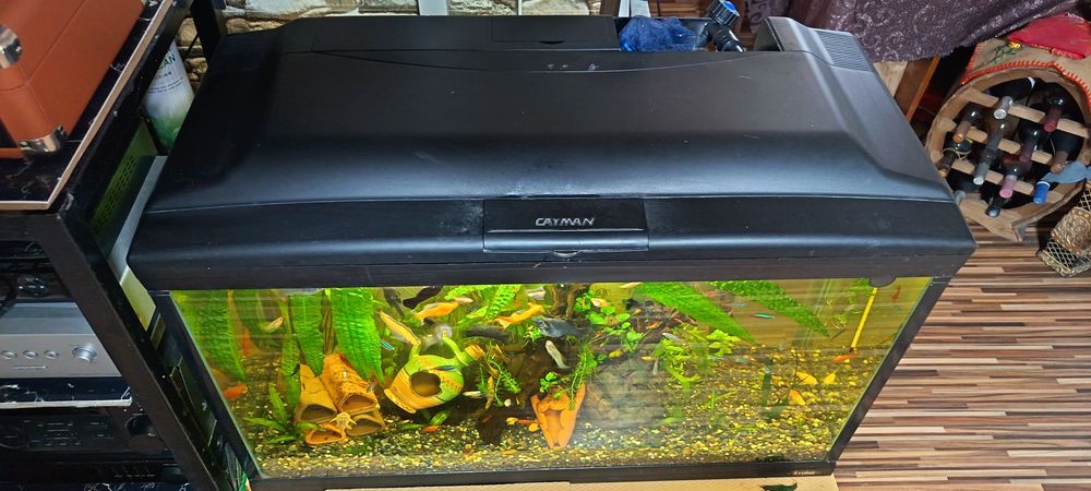 Acvariu complet cu  filtru.