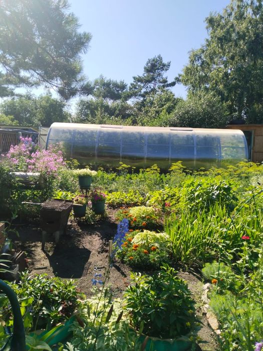 Продам дачу общесво»Эврика»