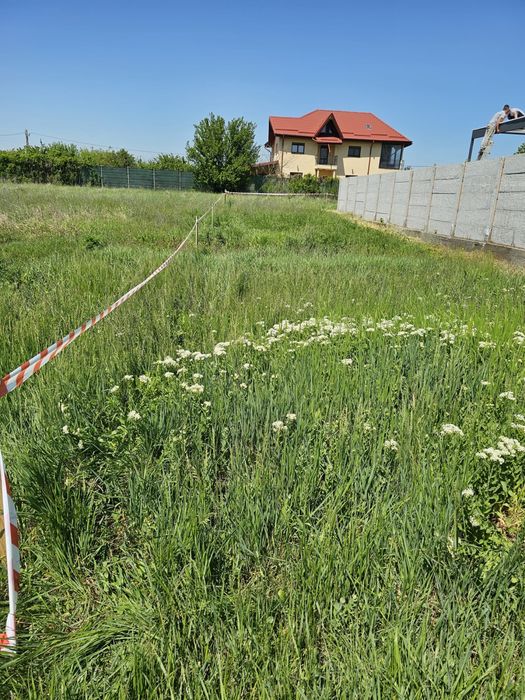 Teren intravilan Dirza Crevedia 936 m ptr vila/casă 49 E