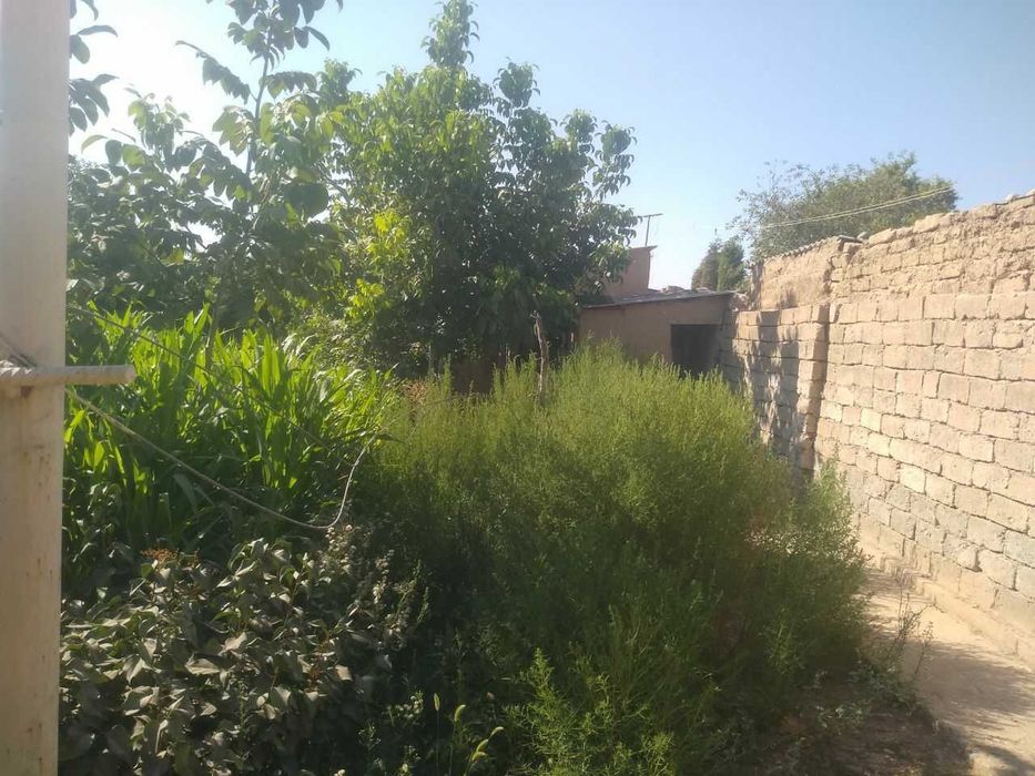 Уйни хужжатига %100