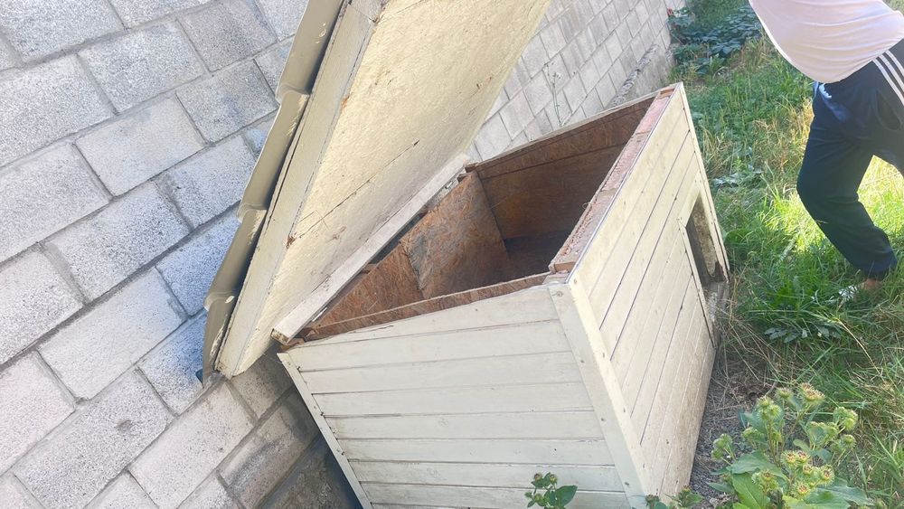 Домик для собак и