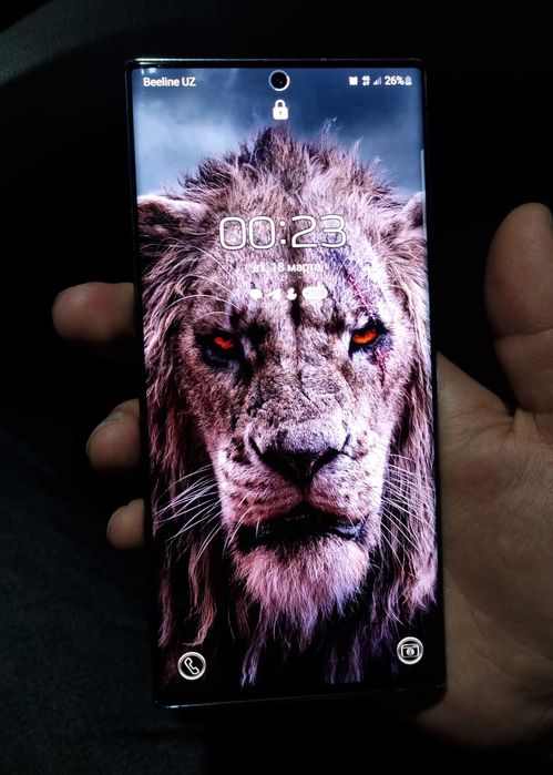 Samsung S22 ultra dual