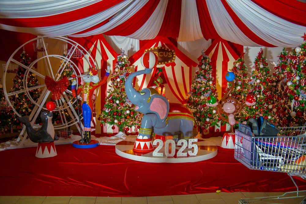 3D Принтиране, 3D сканиране, 3D моделиране, оцветяване (SLA) (FDM)