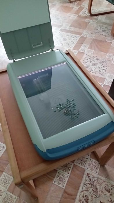 Сканер HP Scanjet 3500c