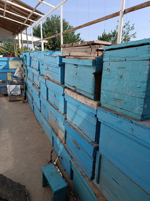 Асал ари яшиклари сотилади