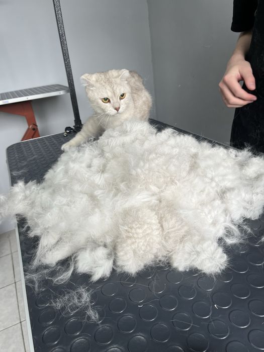 Экспресс линька для кошек и собак