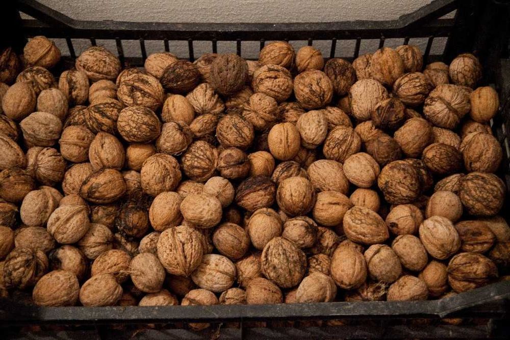 Nuci in Coaja - de vanzare