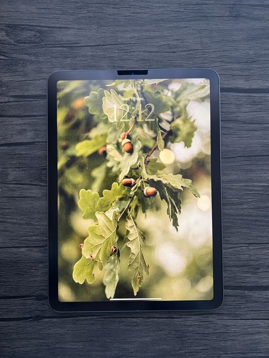 iPad Air (4th generation 256GB)