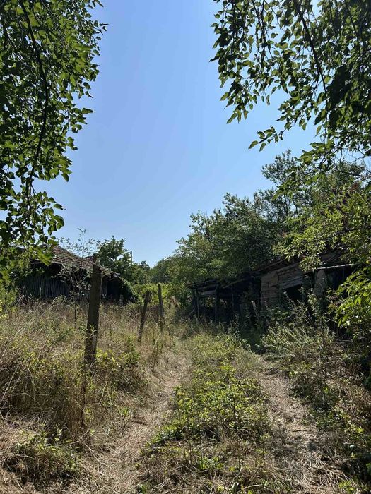 Продава се Къща в с. Дъбравка, Област Видин - 144 кв.м за 36 €/кв.м - Снимка #5