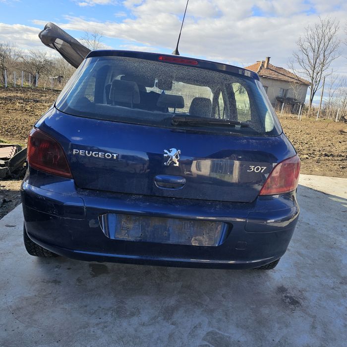 Пежо 307 На части само