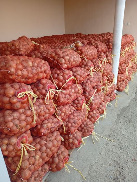 Piyoz sotiladi 100 tona