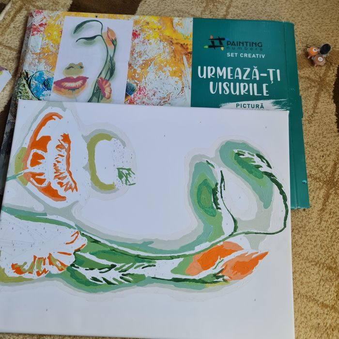 Set pictura tablou canvas DIY