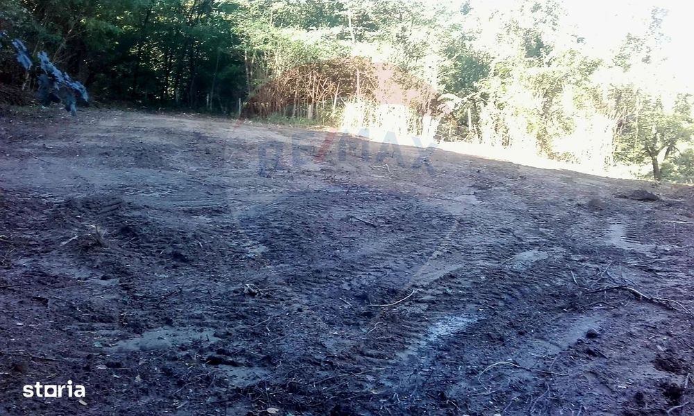 Teren 962.79mp Bujoreni / Strada Stejarului