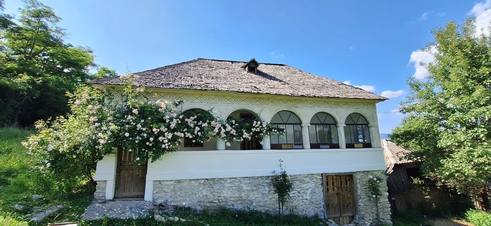 Casa MUSCELEANA , stil Conac , cu livada , teren intravilan- 2 000 mp.