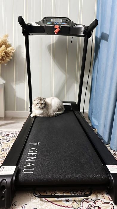 Беговая дорожка складная