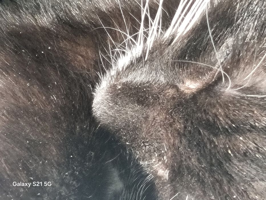 Продам/обменяю Samsung galaxy s21 5g