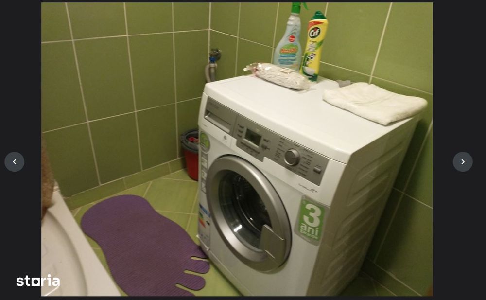 garsoniera colentina teiul domnei