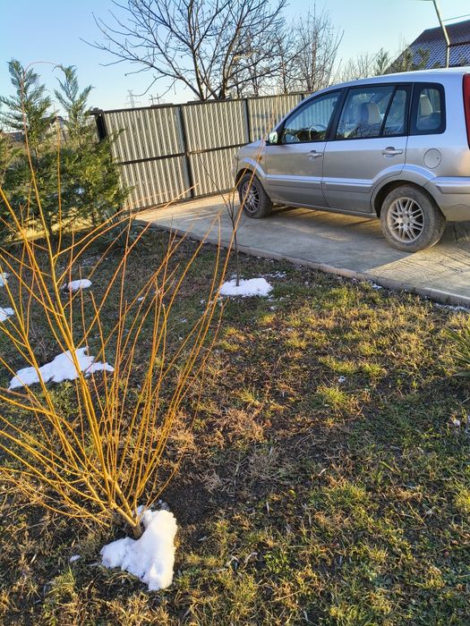 Vând un set .de jante